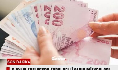 Memur ve Emekli maaşı için 5 aylık enflasyon farkı belli oldu !