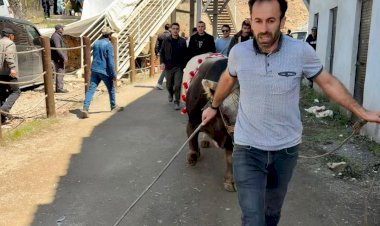 Erzurum’un Gururu Pusat Durdurulamıyor: Üst Üste 4. Şampiyonluk Geldi!